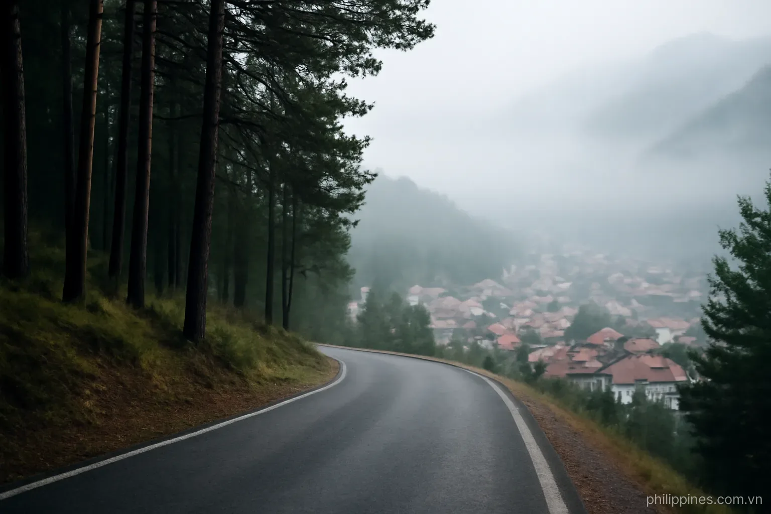 A pine-lined mountain road above a town in cool morning mist with rooftops on the slope below, no readable text